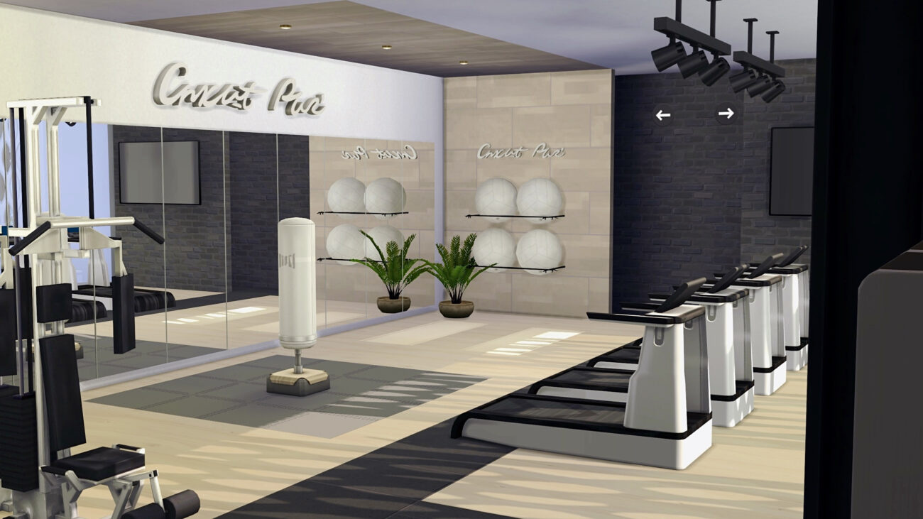 sims 4 fitness and gym no cc
