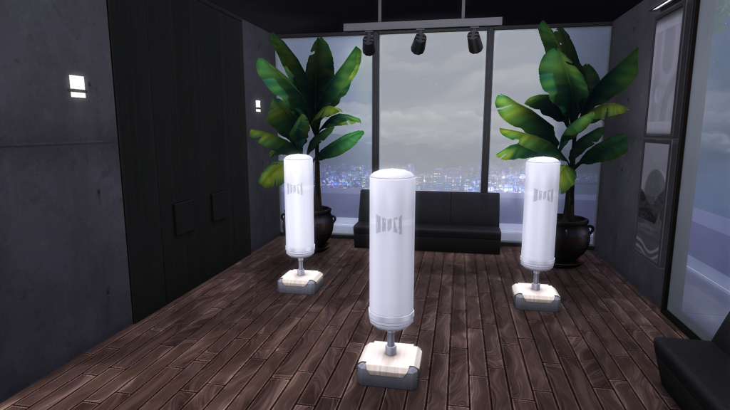 sims 4 gym boxing no cc
