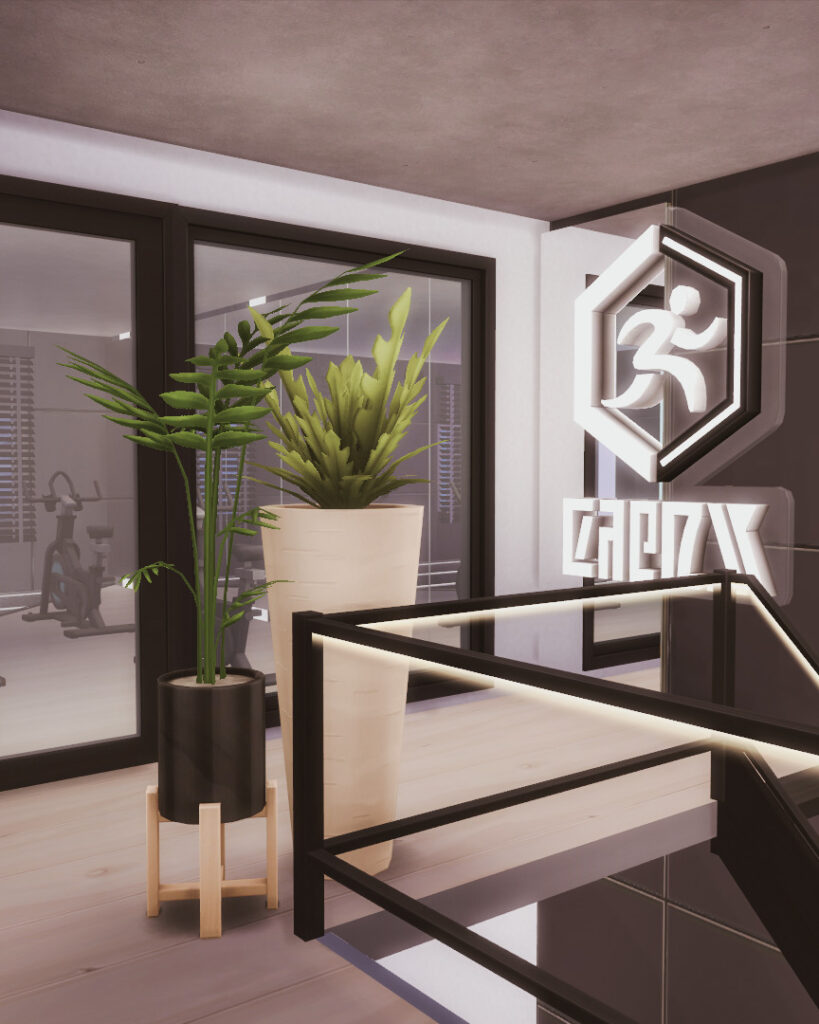 sims 4 luxury gym no cc